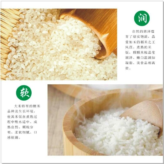 长春稻花香二号大米 一等品 一季稻 粳米