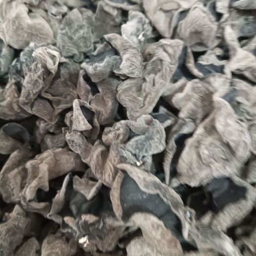七台河东北黑木耳 干木耳 一级 秋耳
