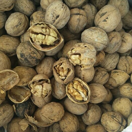 汾阳市薄皮核桃