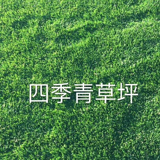 安宁市四季青