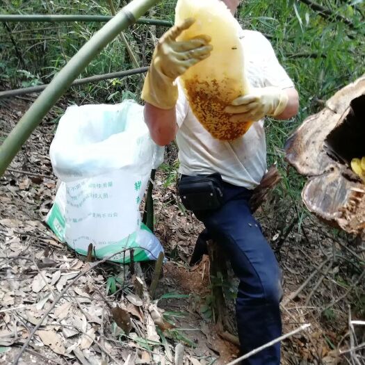 长汀县土蜂蜜 塑料瓶装 2年以上 98% 