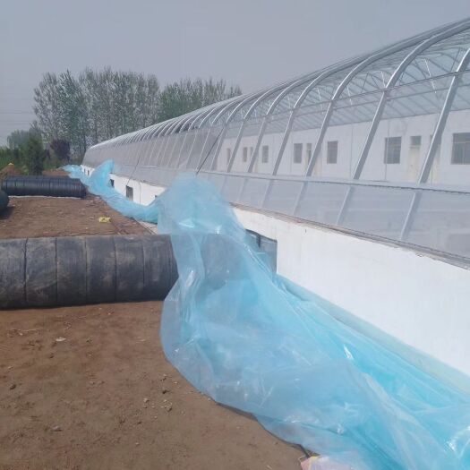 永宁县玻璃温室大棚