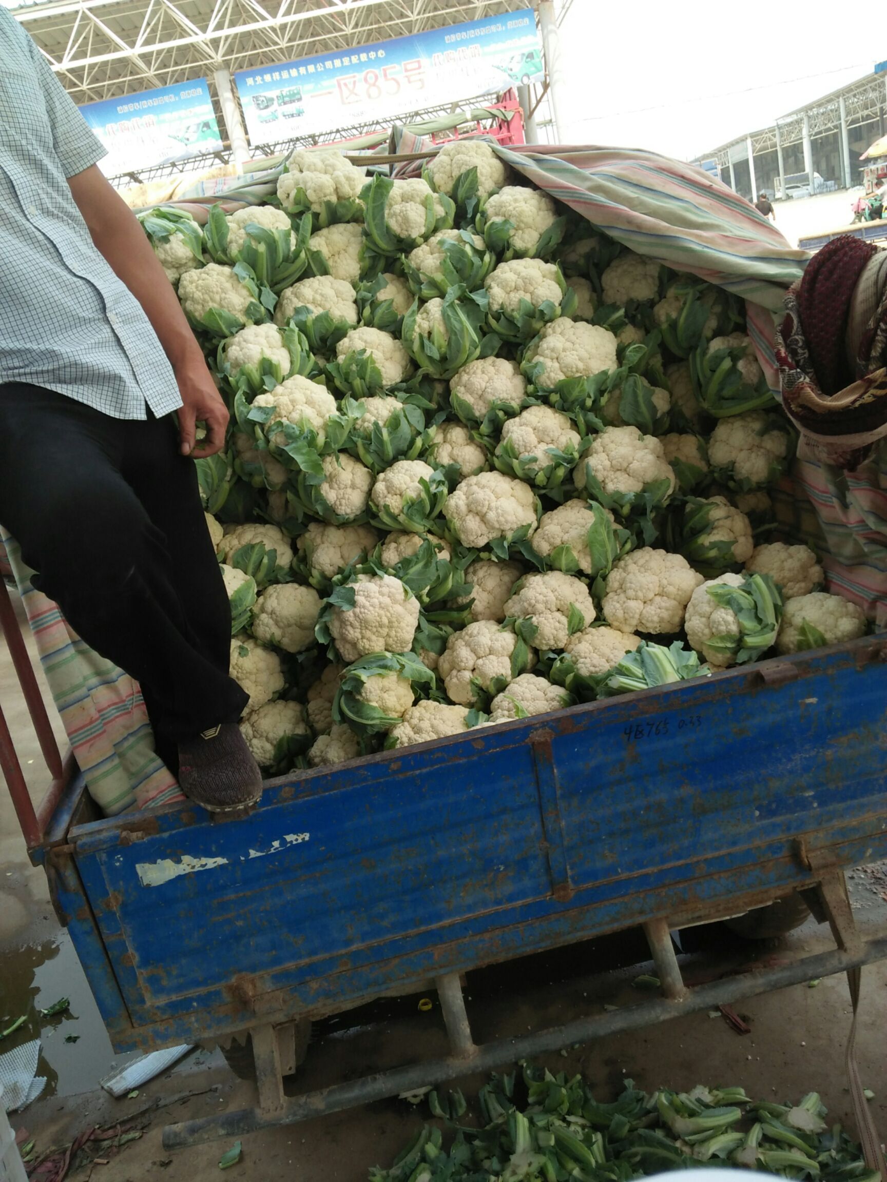 有机花菜 3~4斤 松散
