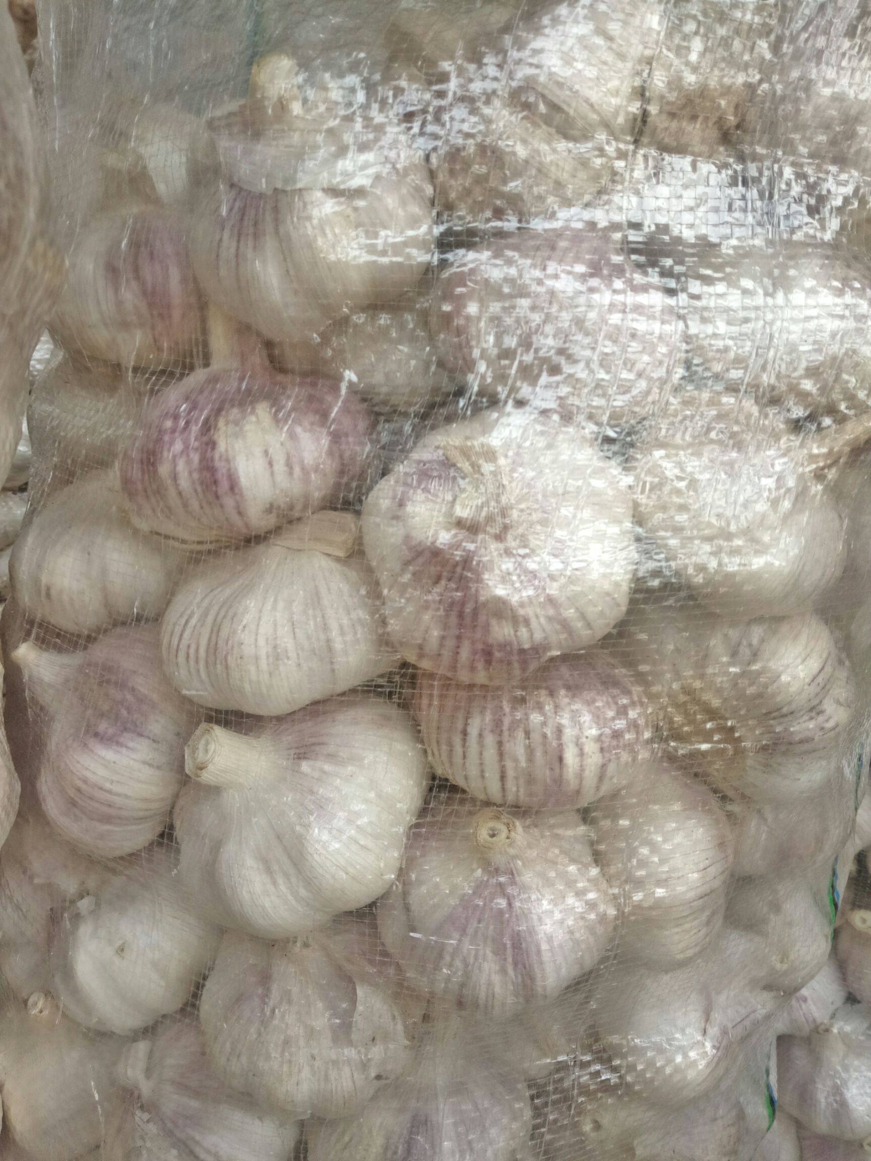 红皮蒜  金乡大蒜、红皮大蒜，48小时发货常年供应。