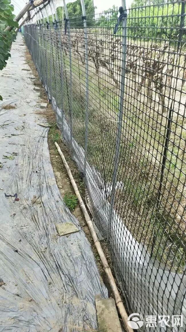 养鸡围栏网 塑料 圈山圈地围墙护栏网 鱼塘 果园