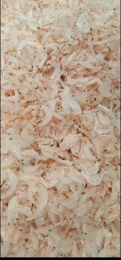 滨州对虾干