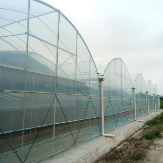 青州市文洛式温室大棚