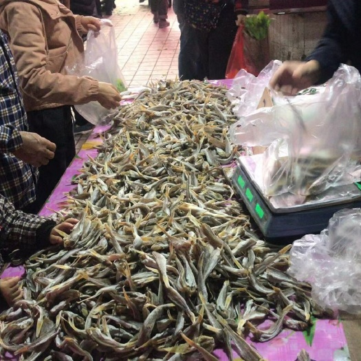 广州红鱼干  小飞鱼，日晒鱼干