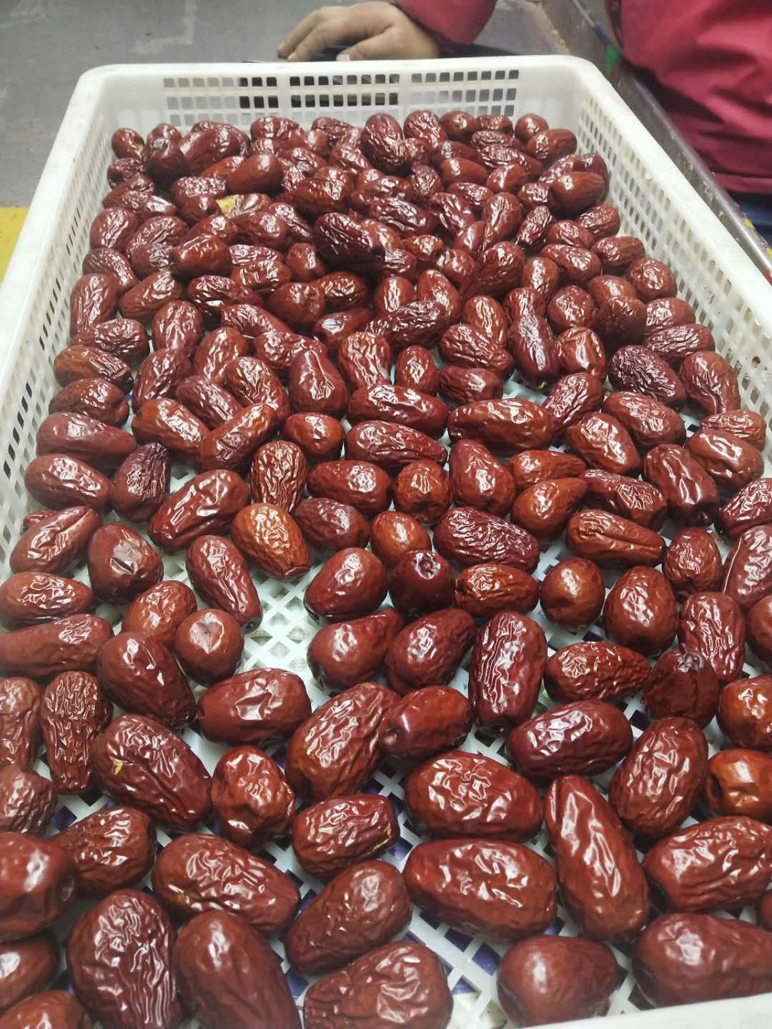 枣夹核桃 6-12个月 