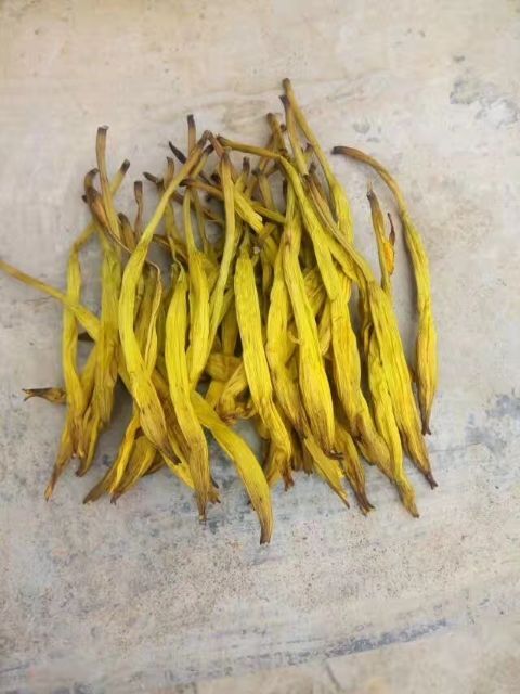 耒阳市 鱼庆牌黄花菜是环保绿色食品基地采摘没落地直接上烘干机装包
