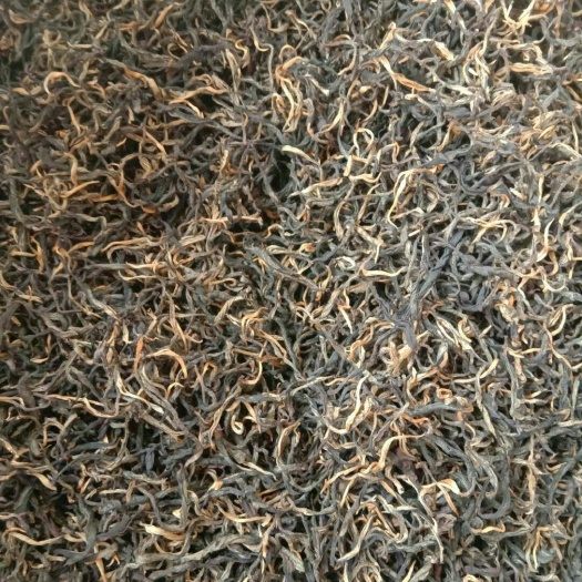 凤庆县大叶工夫红茶 一级 散装