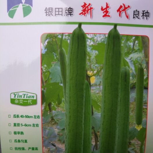 丝瓜种子 新生代 亚华早佳
