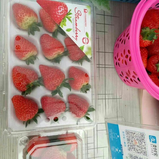 奶油草莓 3斤装 统果