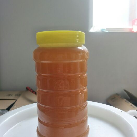 荆条蜜 塑料瓶装 2年 