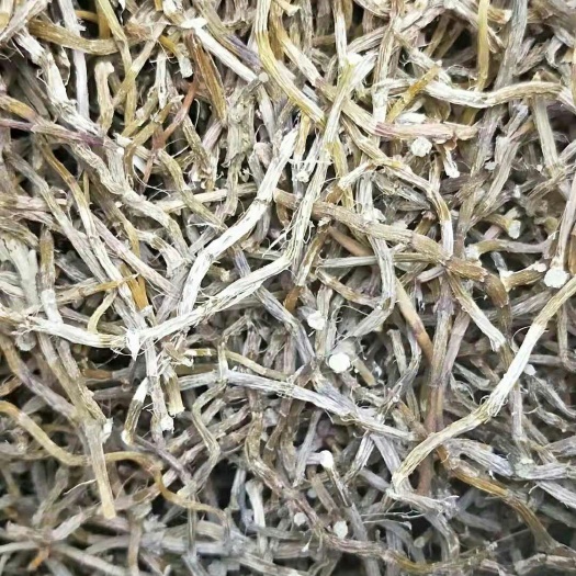 澜沧县铁皮石斛