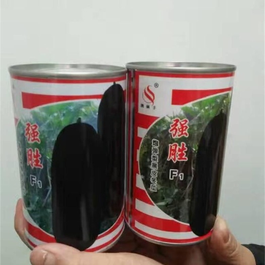 冬瓜种子  ≥75% 大田用种 黑皮大冬瓜