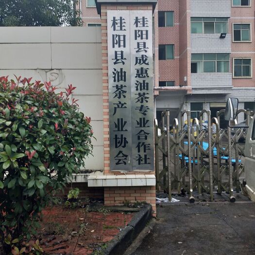 桂阳县有机山茶油