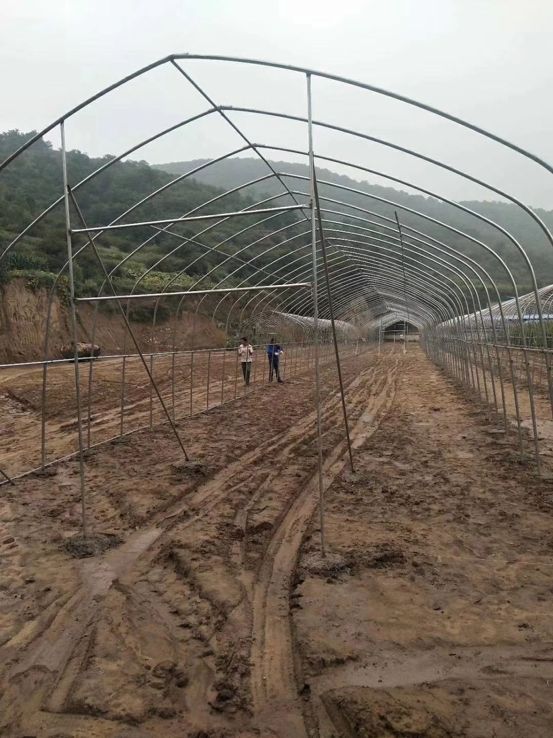 C型钢温室大棚