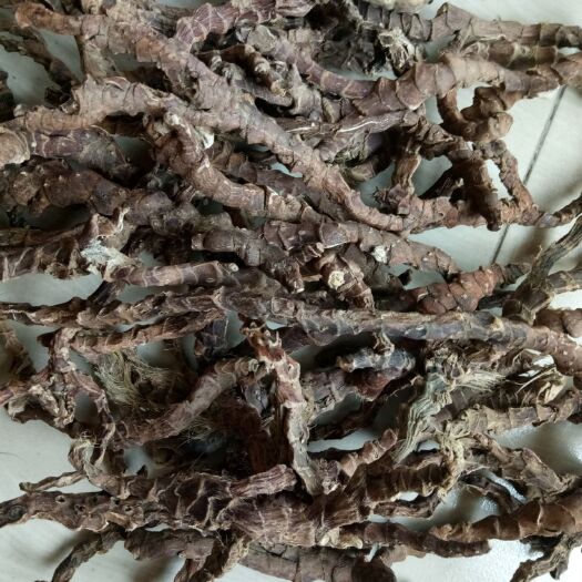 安溪县石菖蒲  深山中药材菖蒲