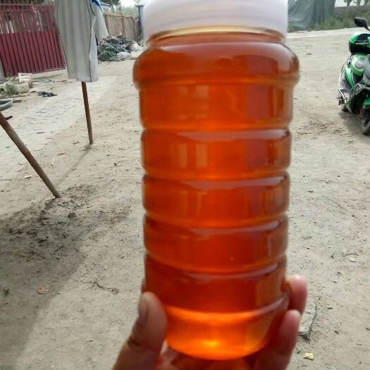 阿拉尔市土蜂蜜  新疆沙枣花蜂蜜