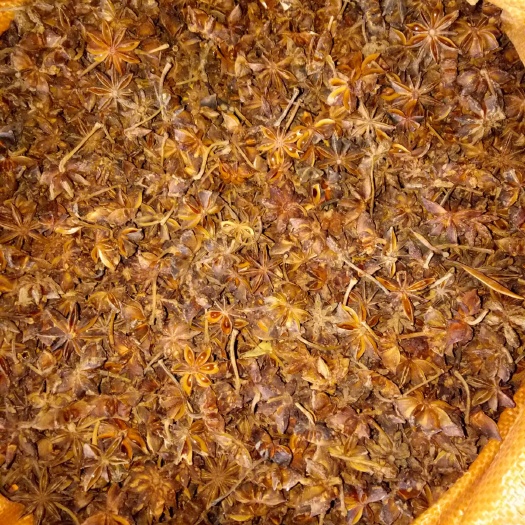 金秀县香料茴香 八角