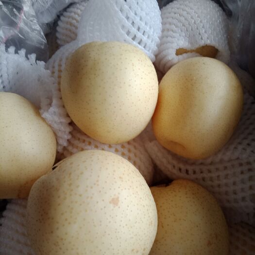 赵县皇冠梨 75mm以上 300-350g