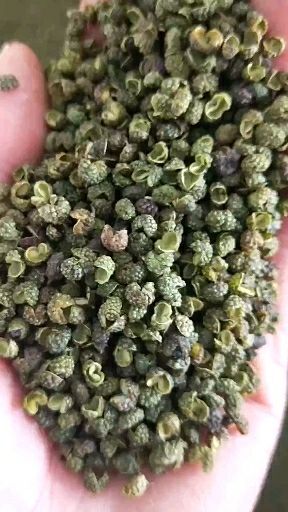 盐源县青花椒 干花椒 一级 