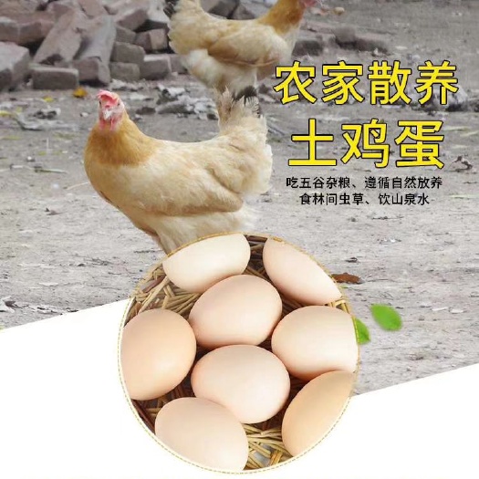 成都土鸡蛋 食用 礼盒装