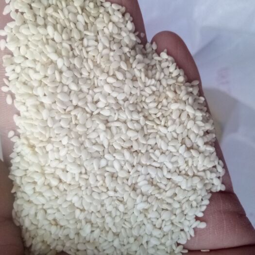 白芝麻 