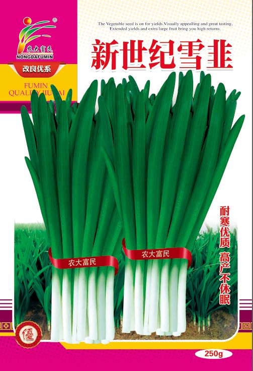 郑州韭菜种子  不休眠直立高产长茎