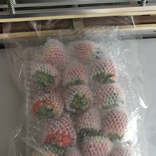 东港市丹东草莓 40克以上 