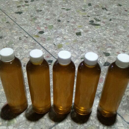 巴马县现榨山茶油 