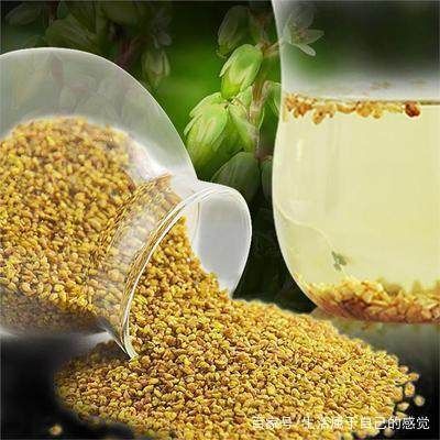 荞麦茶  颗粒饱满 口感佳 散装 健康代茶饮 一公斤起包邮