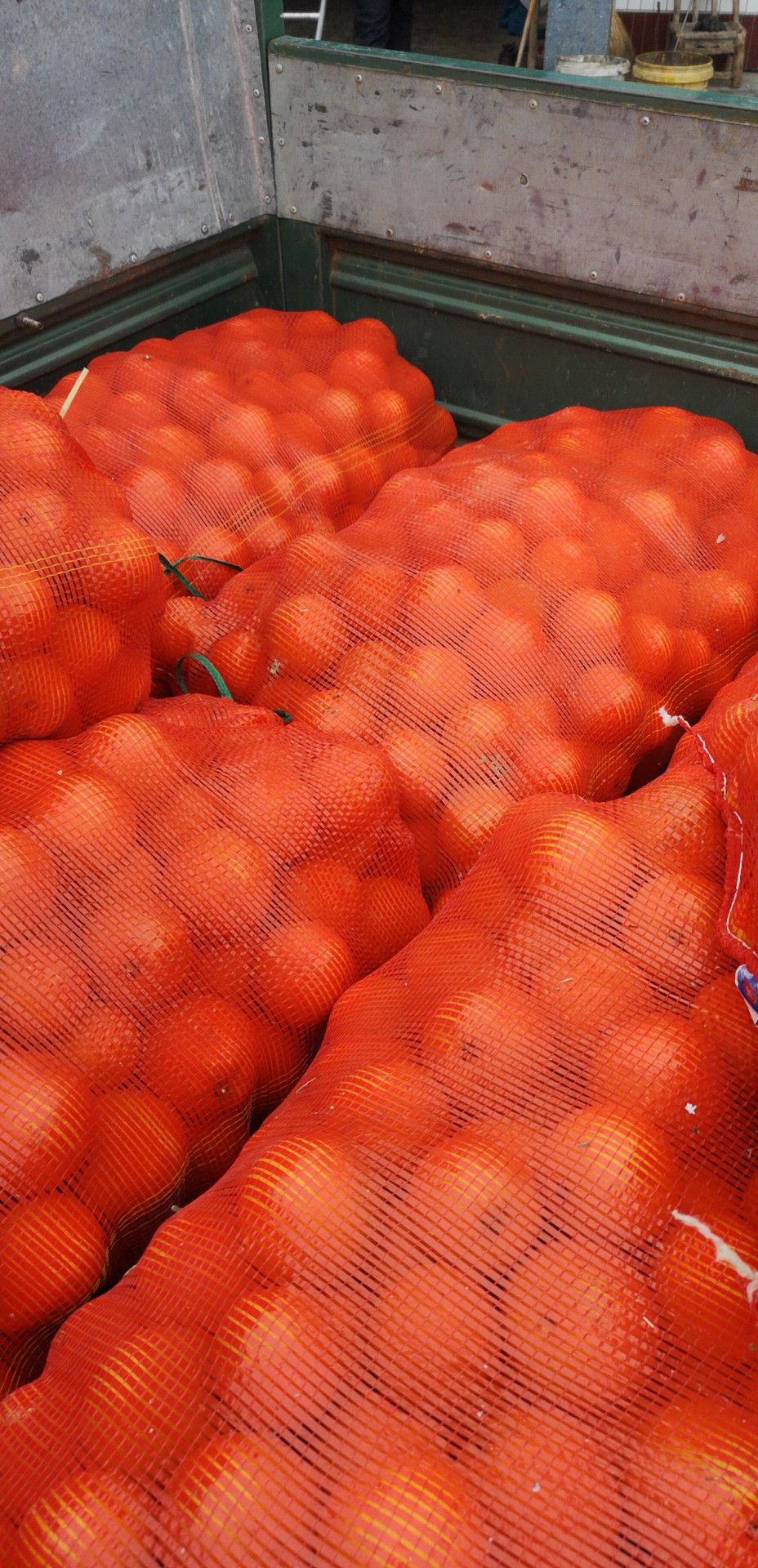 埃及糖橙  4两以下 55mm以上