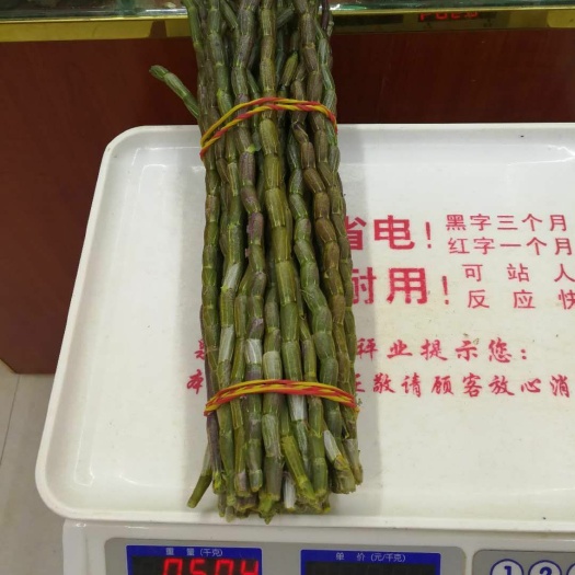 乐清市铁皮石斛 鲜条红杆软脚