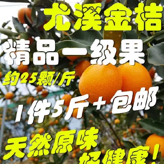 尤溪县尤溪金桔 3-4cm 1两以下 包邮新鲜/一件代发