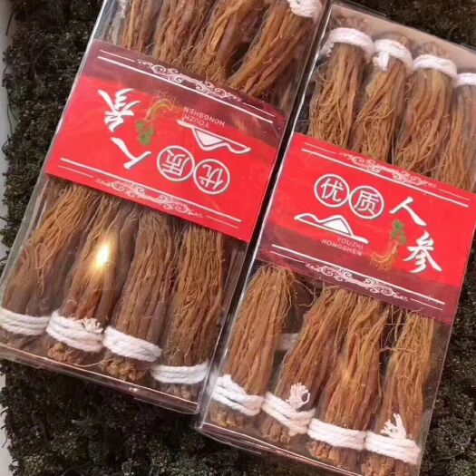 抚松县园参  红直须