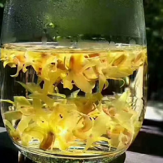 衢州铁皮石斛花 铁皮石斛干花，