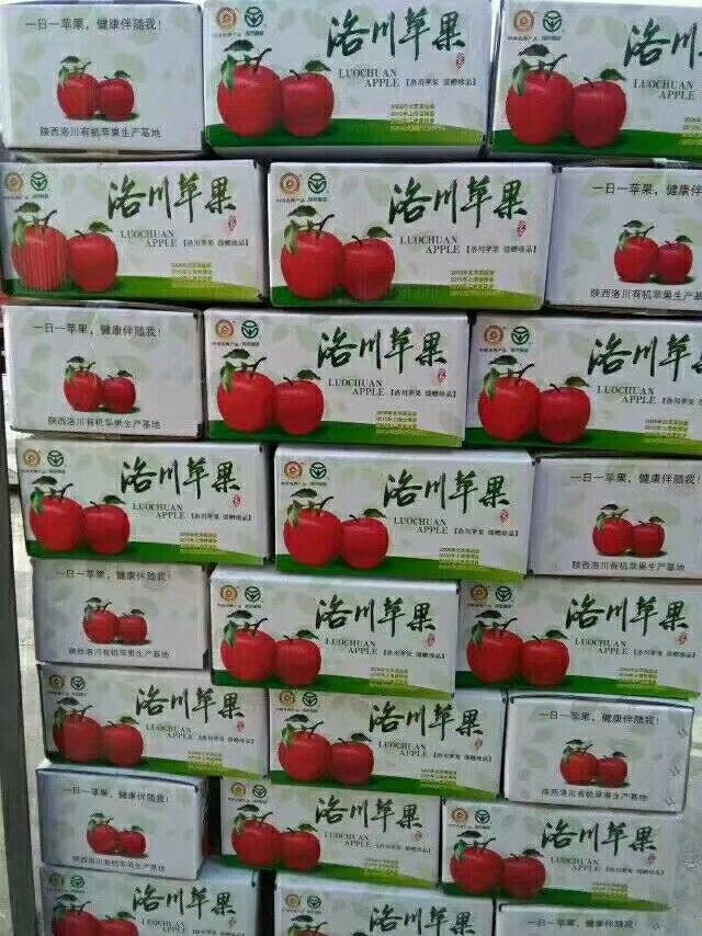 洛川苹果 75mm以上 条红 纸袋