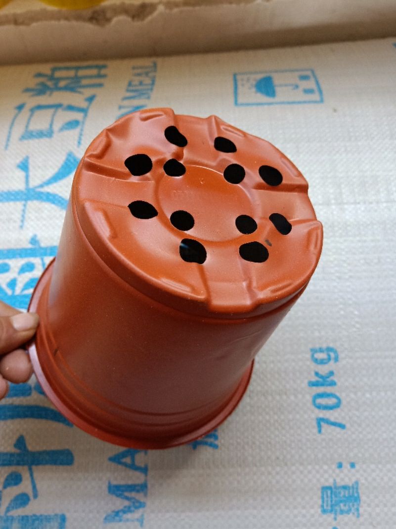  塑料种植一次性扦插加厚双色育苗花盆营养盆营养钵小大厂家多肉盆