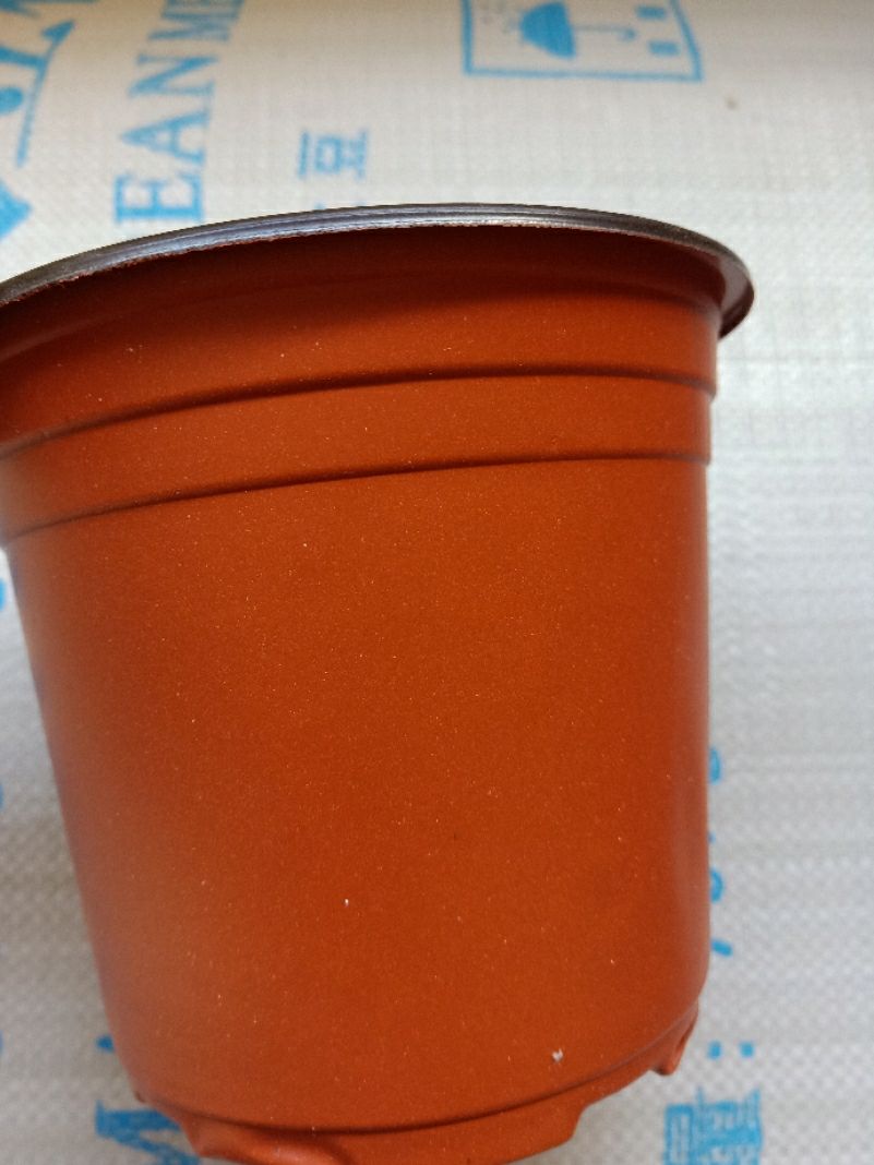  塑料种植一次性扦插加厚双色育苗花盆营养盆营养钵小大厂家多肉盆