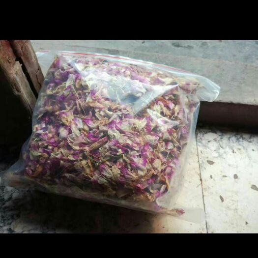 赤水市金钗石斛花