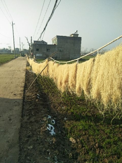 太和县红薯粉