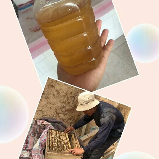 榆林土蜂蜜 百花蜜