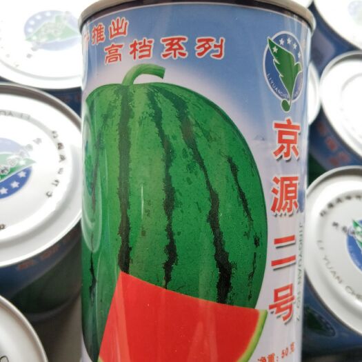 宜城市地雷西瓜种子  瓜比美都好，价比美都低