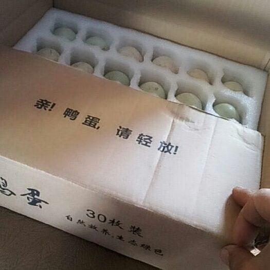 沈丘县麻鸭蛋 食用 礼盒装