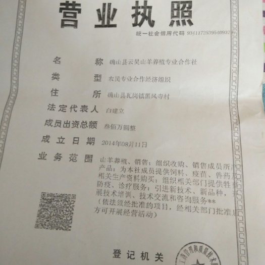 确山县藏羊 80-110斤