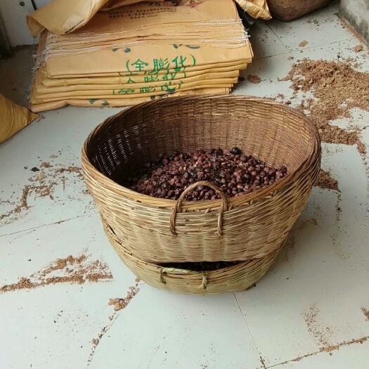 富宁县现榨山茶油 