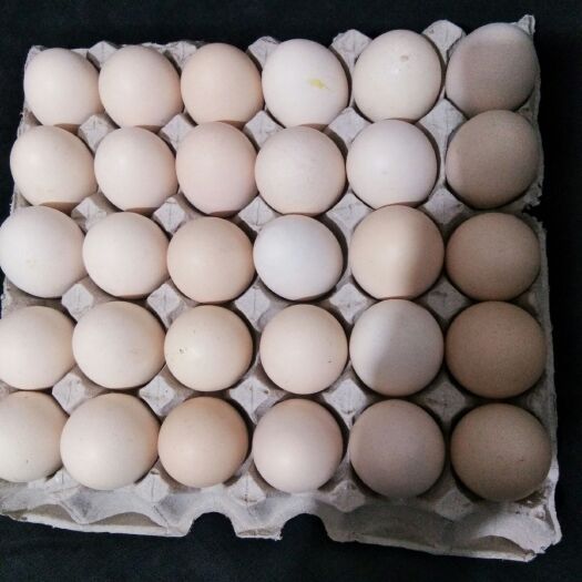长沙普通鸡蛋 食用 箱装 