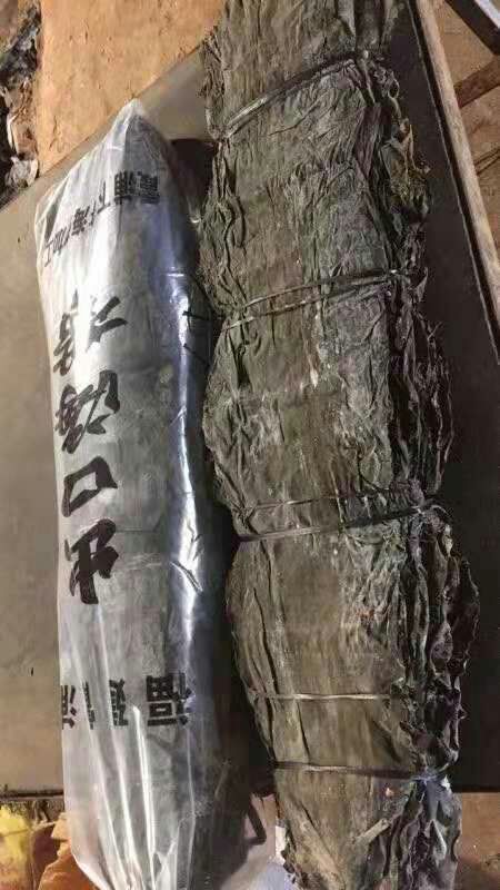 深圳霞浦海带